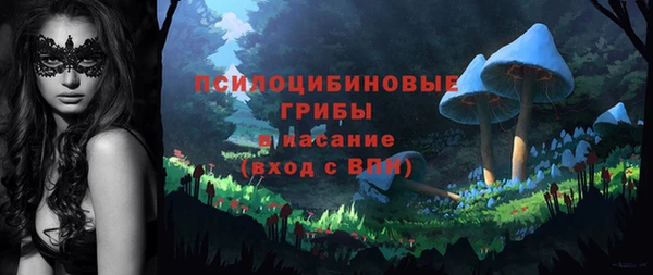 таблы Покачи