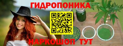 a pvp Сланцы