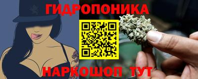 a pvp Сланцы