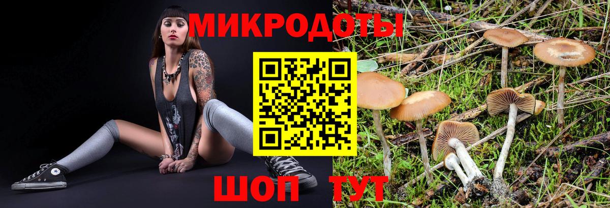 Псилоцибиновые грибы мухоморы  Вход с VPN  Советский 