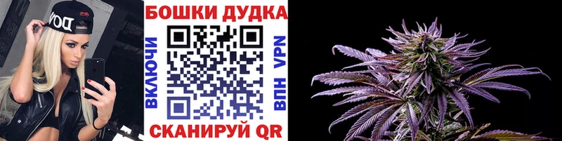 Конопля план Советский